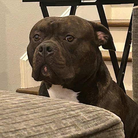 Zeke